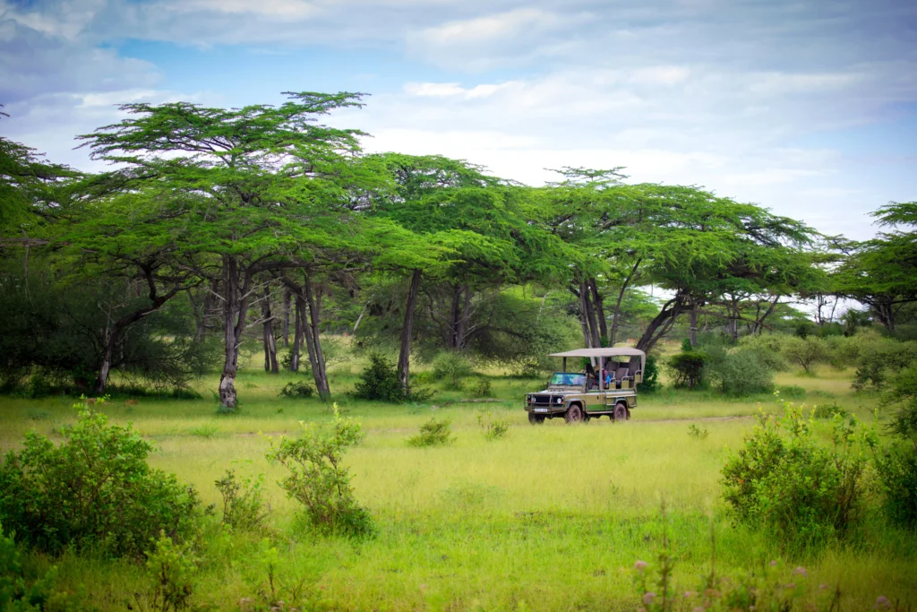 Jízda v Nyerere National Park - Tanzanie