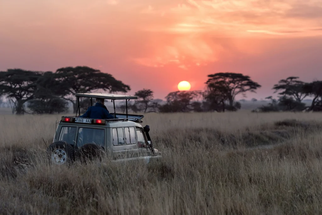 Tanzánie Serengeti safari