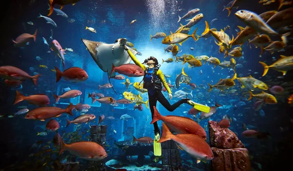 Atlantis The Palm