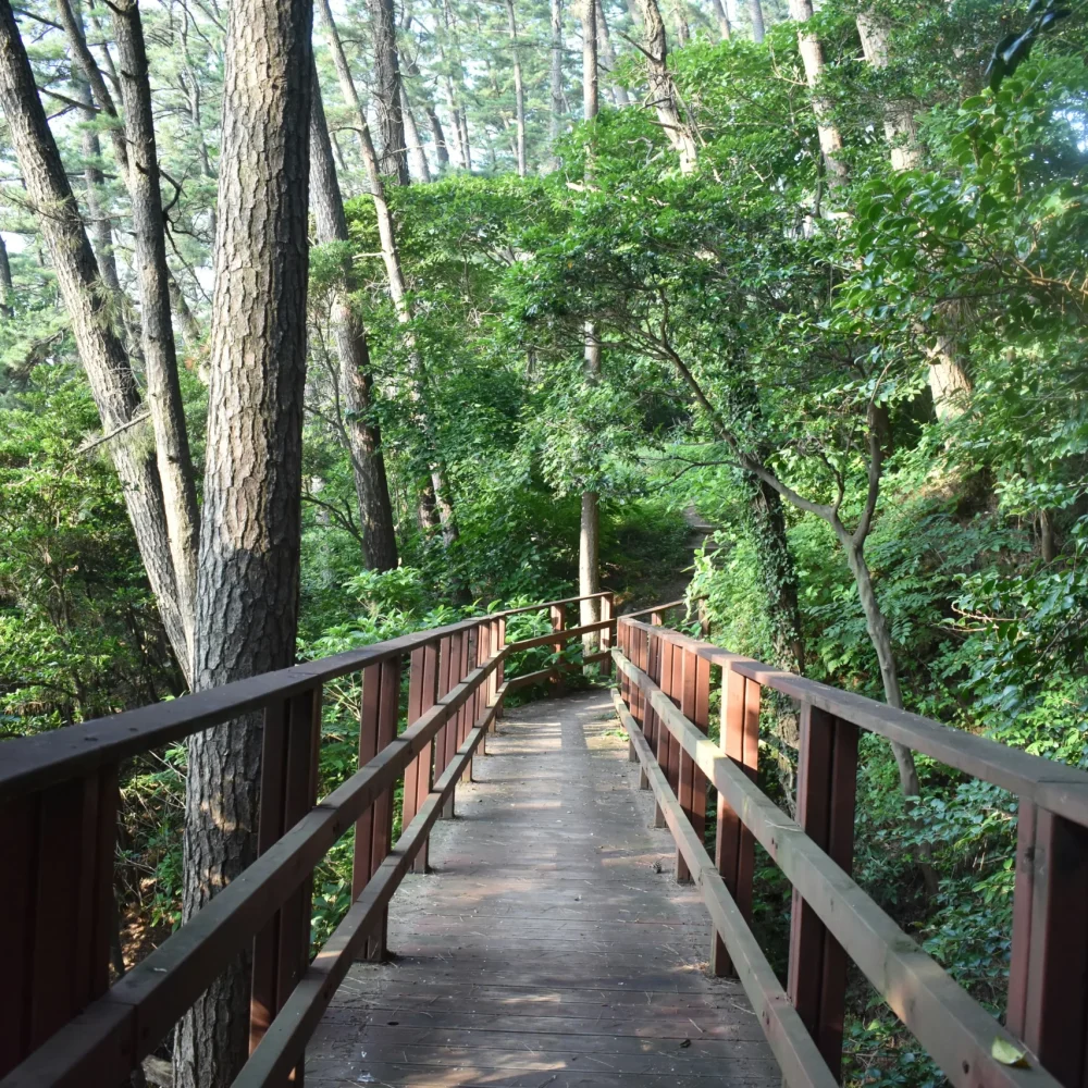 Geoje park Jižní Korea