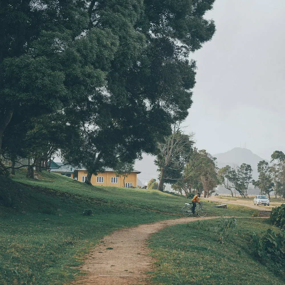 Nuwara Eliya čajová plantáž