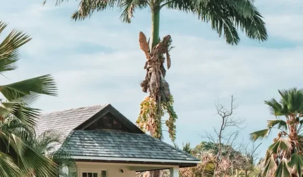 Calabash Hotel Grenada resort vila