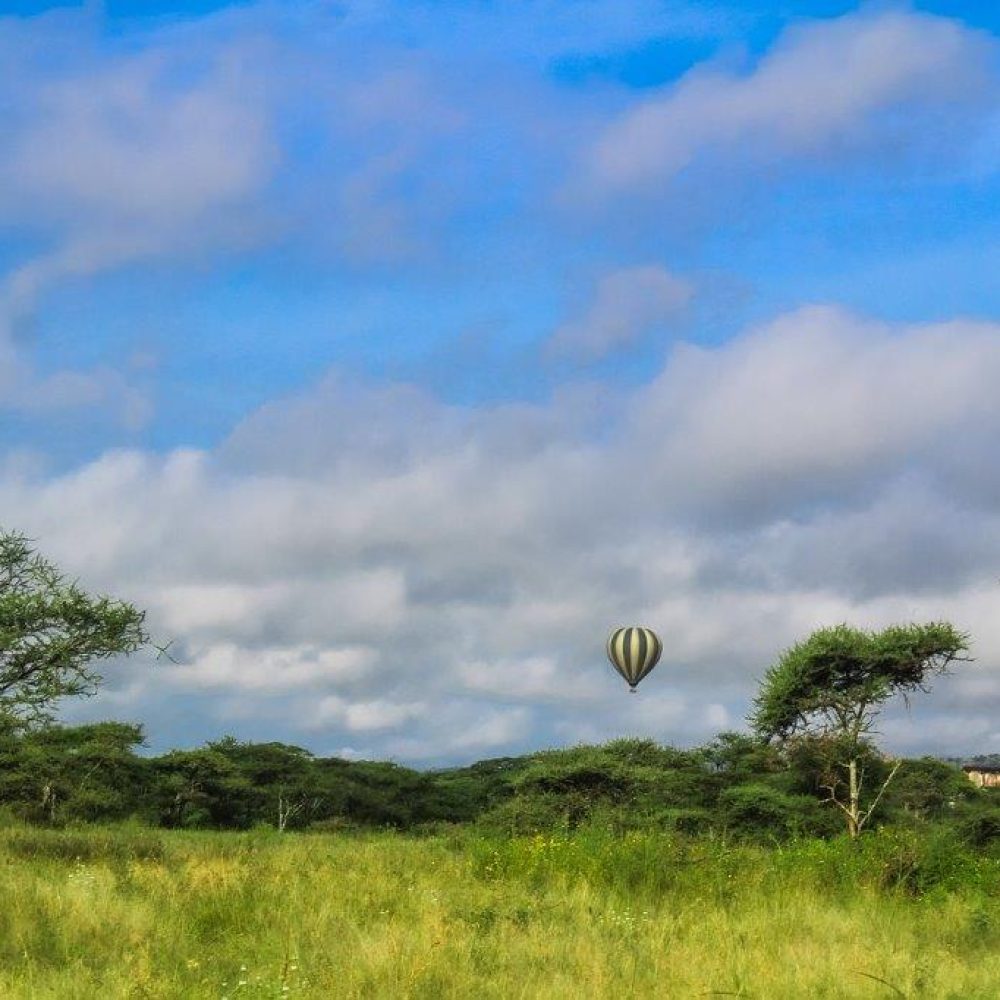 Serengeti (4)
