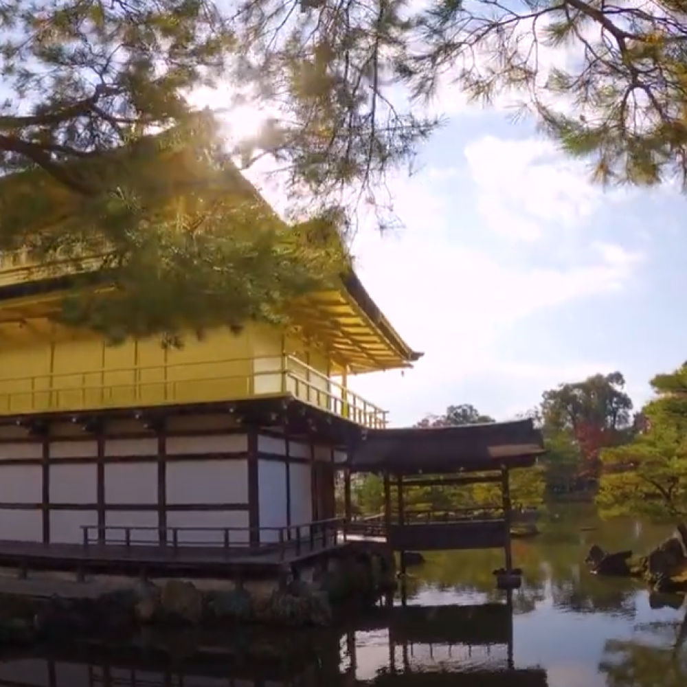 Japonsko zlatý pavilon youtube video