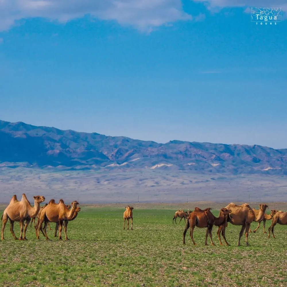 Khugnu Tarna Mongolsko