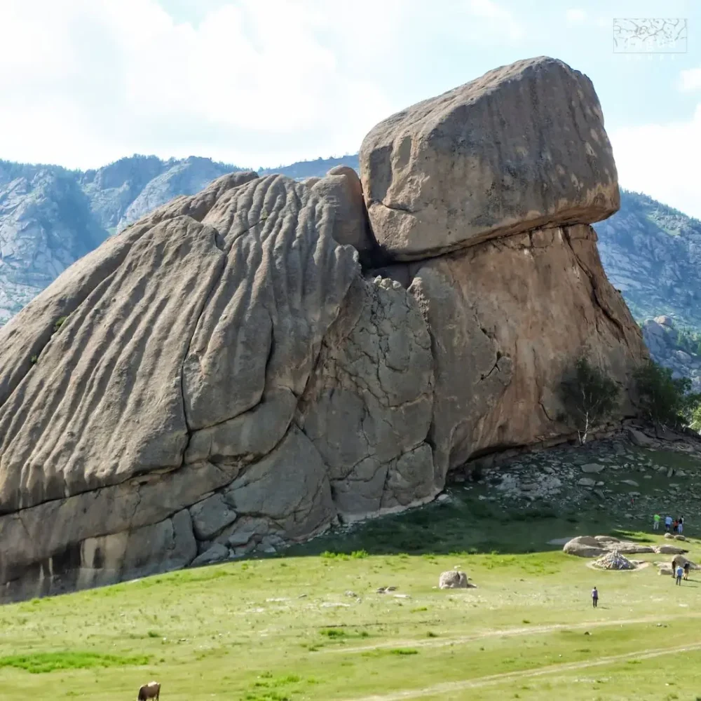 Mongolsko NP Terelj želva