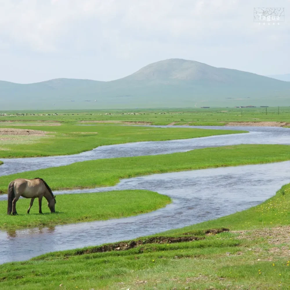 Mongolsko Národní park Khugnu Tarna