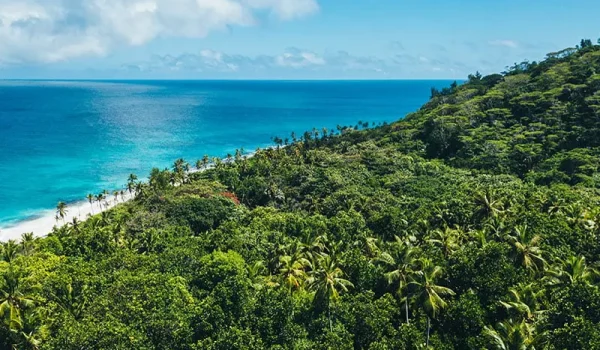 North Island