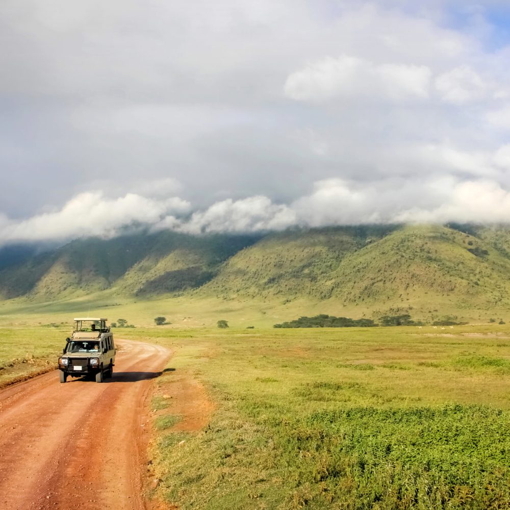 Safari in Ngorongoro Crater National park. Tanzania.