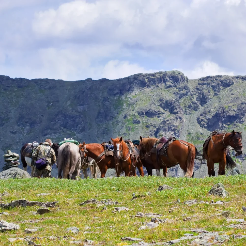 Mongolsko Hustai